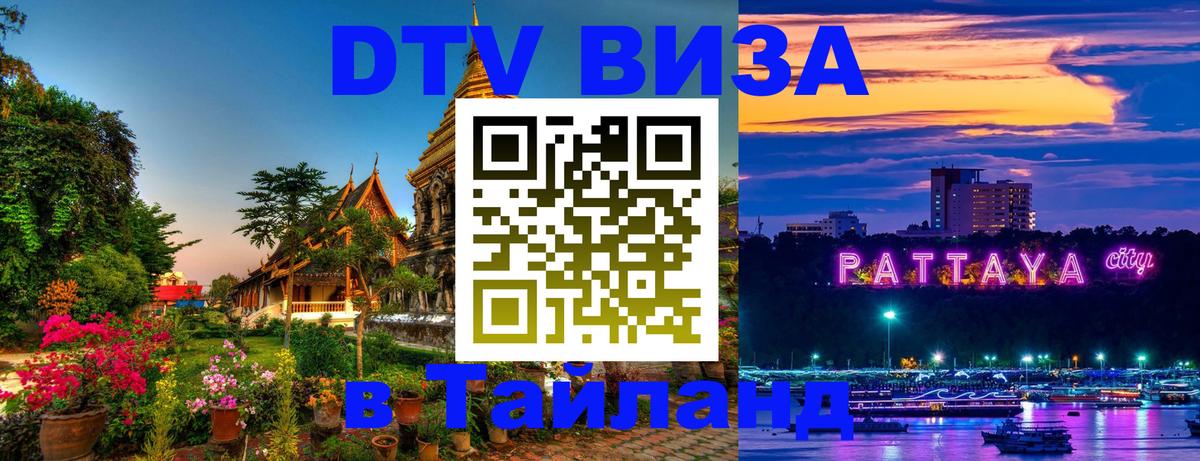 Сколько стоит DTV виза — актуальные цены, оформление даже без документов - Анкара  08.01.2026 